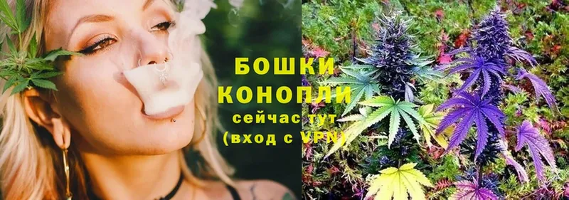 как найти закладки  Никольск  Бошки Шишки семена 